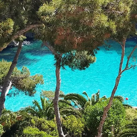 Pinos Playa Santanyi